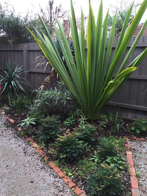 Garden Cottage St Kilda Melbourne Kültér fotó